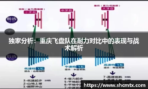 独家分析：重庆飞盘队在耐力对比中的表现与战术解析