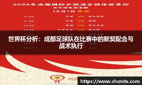 世界杯分析：成都足球队在比赛中的默契配合与战术执行